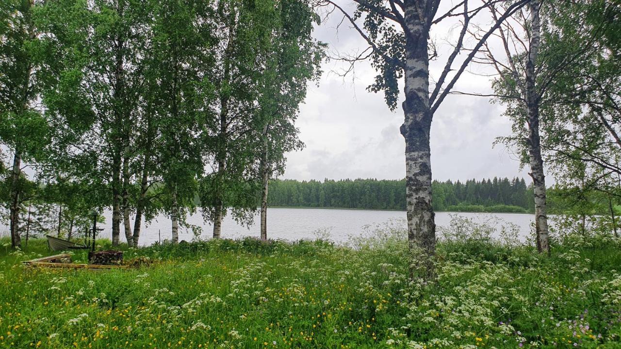 Viihtyisae Kolmio Jaerven Rannalla Haapavesi 외부 사진