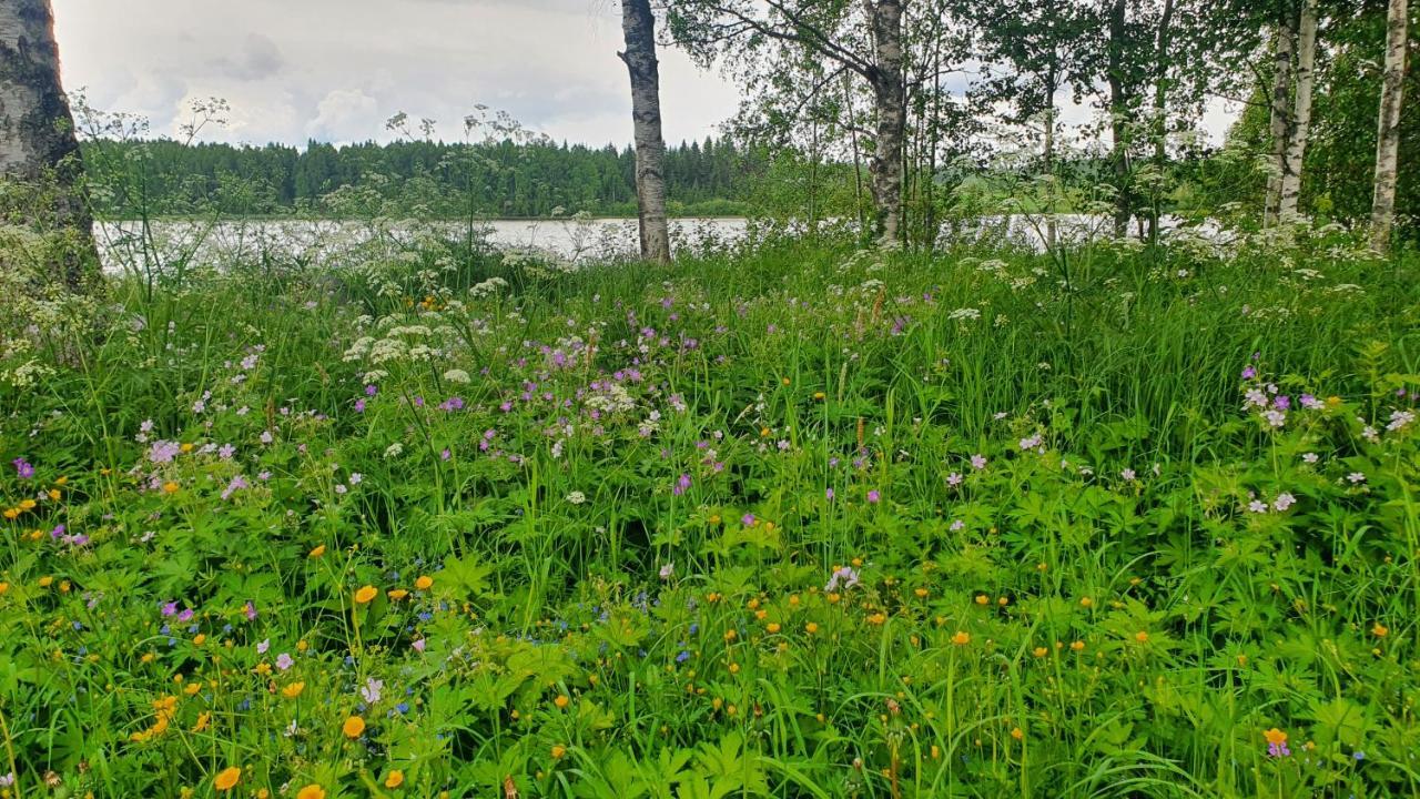 Viihtyisae Kolmio Jaerven Rannalla Haapavesi 외부 사진